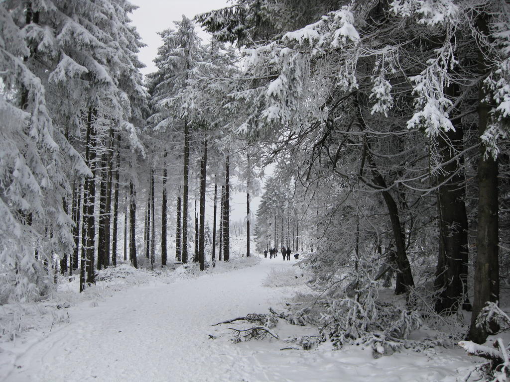Ferienwohnung Haus Kloosterman Winterberg Esterno foto
