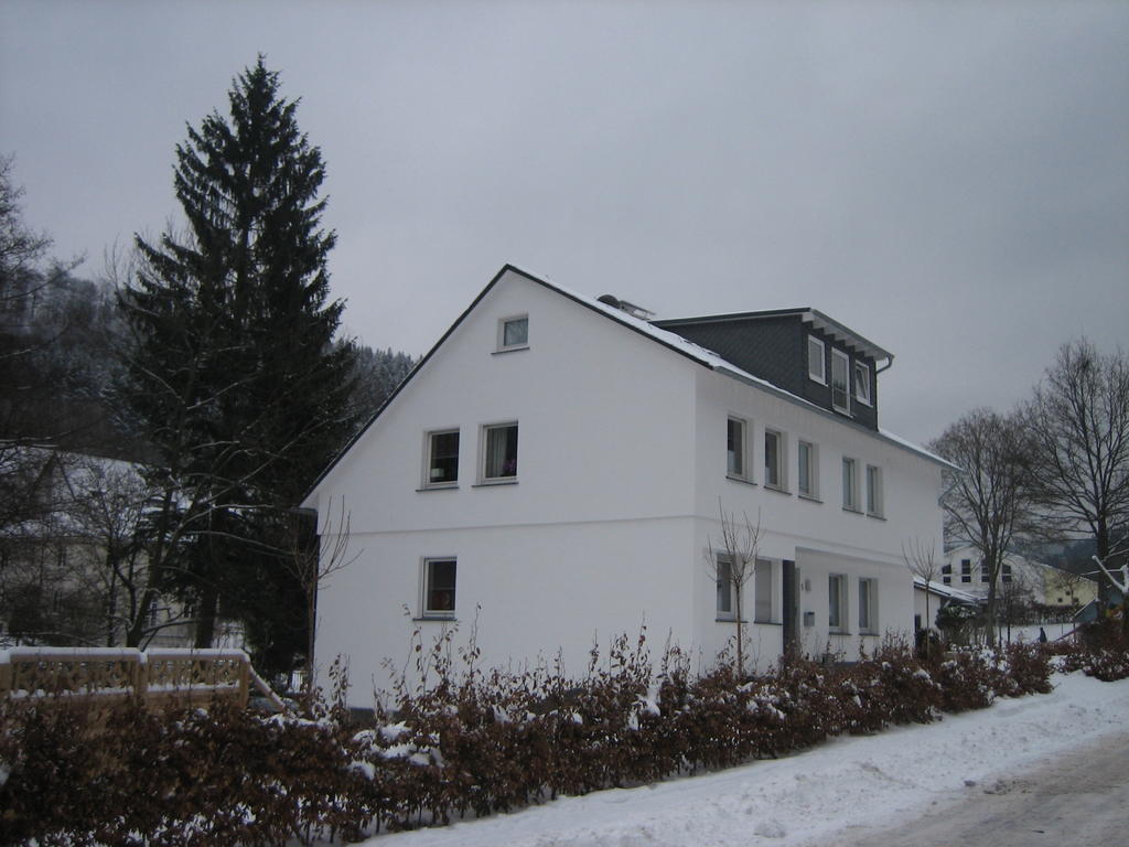 Ferienwohnung Haus Kloosterman Winterberg Esterno foto